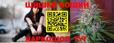 СК Рыбинск