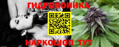 СК Рыбинск