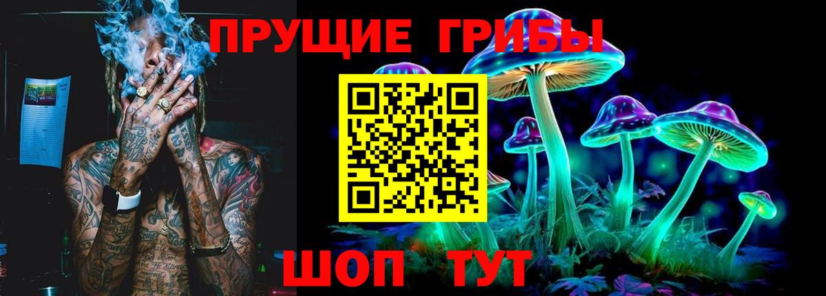 закладки  Псилоцибиновые грибы Cubensis  Вход с VPN  Приморско-Ахтарск 